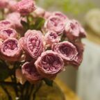 IMG_3379