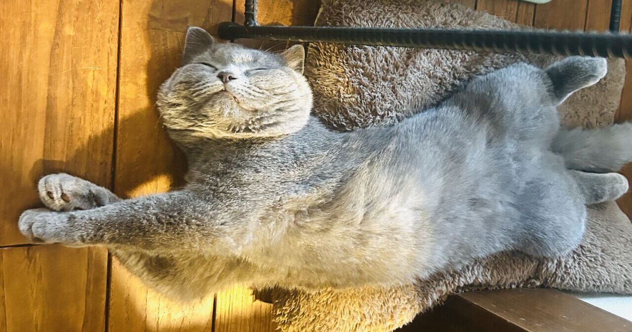 tukareteirutoiujyoutai